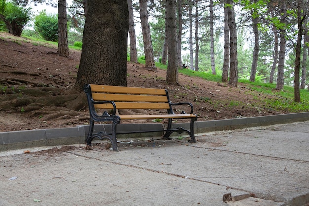 Bancs et chaises longues en bois pour se reposer dans les rues de la ville et dans le parc, les lieux publics