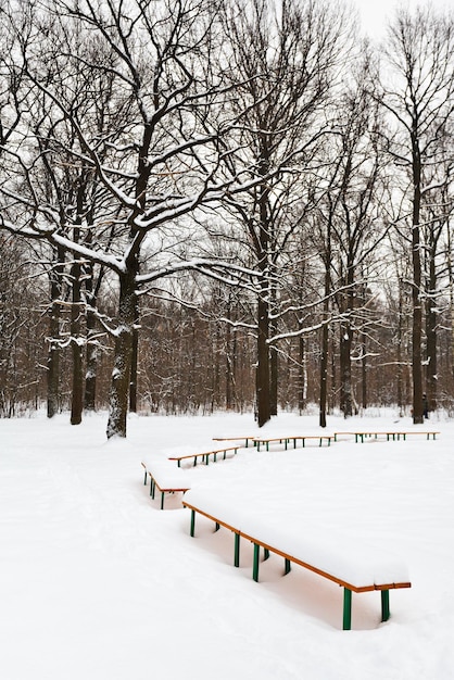 Bancs couverts de neige sur la clairière du parc de la ville