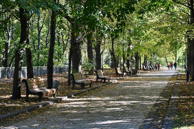 Des bancs dans le parc attendent les visiteurs