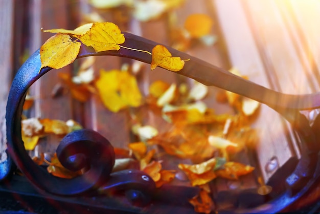 bancs dans le parc d'automne