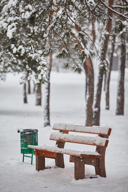 Bancs dans le parc de la ville d'hiver Rempli de neige