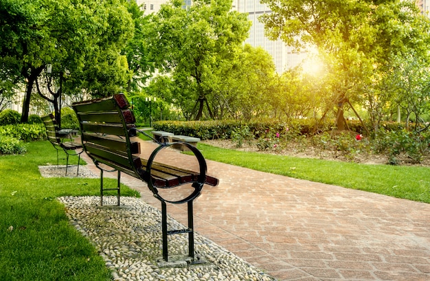 Bancs de parc et arbres