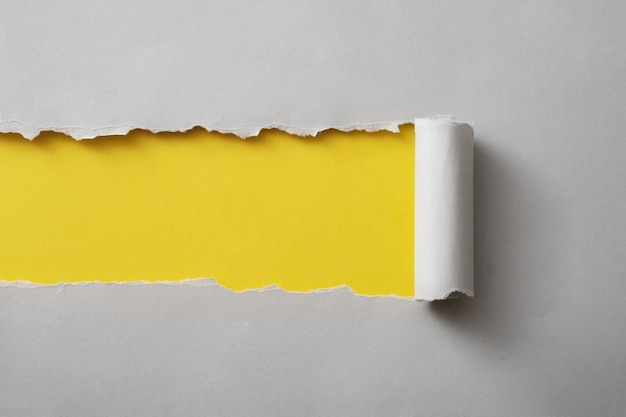 Bande de carte grise déchirée et enroulée pour révéler un fond de papier jaune coloré avec un espace de copie à utiliser comme modèle de conception