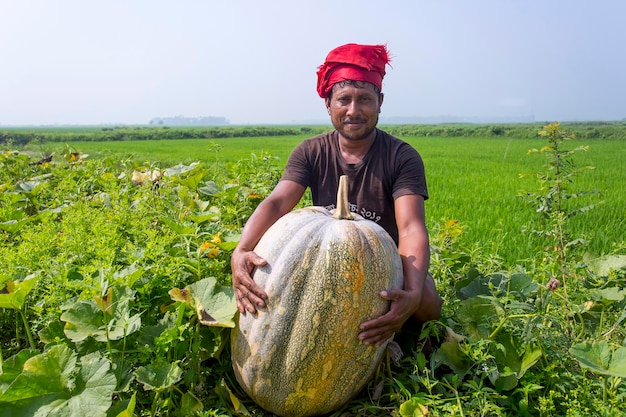 Bangladesh 04 mars 2018 Un producteur a produit de gigantesques légumes citrouille sucrée à Munshiganj Dhaka