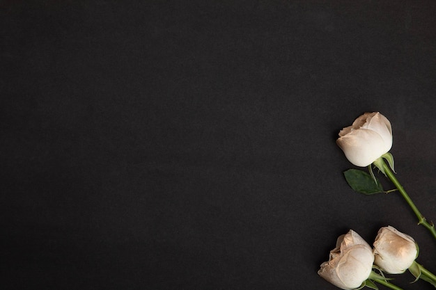 Photo banner concept de la fête de la saint-valentin boîte cadeau fleurs et cœurs sur un fond rouge blanc noir