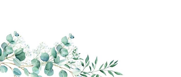 Bannière aquarelle florale pistache d'eucalyptus vert et branches de gypsophile isolées sur blanc