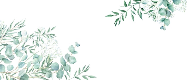 Bannière aquarelle florale vert eucalyptus olive pistache et branches de gypsophile isolées sur blanc