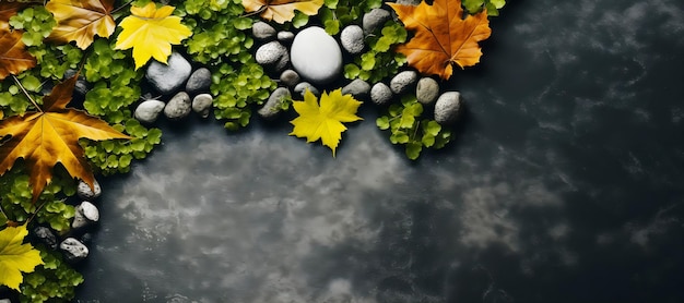 Photo bannière d'arrière-plan d'automne ou d'hiver avec des pierres et des feuilles cadre naturel copie de l'espace vue supérieure