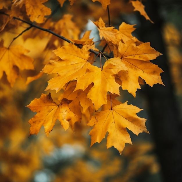 Bannière d'automne Gros plan de feuilles d'érable jaunes sur l'IA générative de l'arbre
