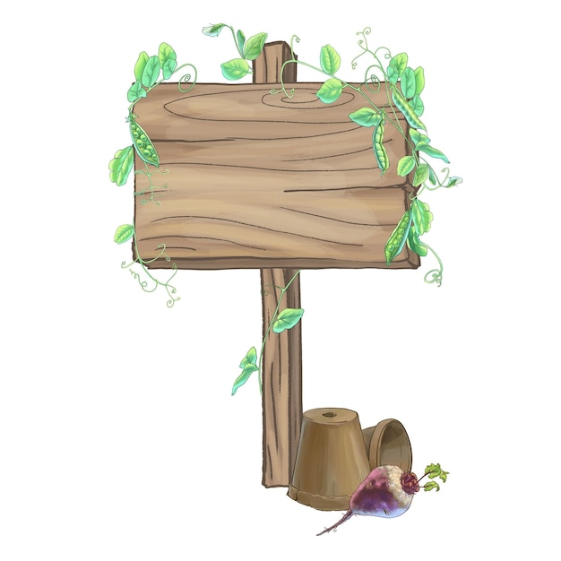 Bannière en bois et illustration de légumes frais