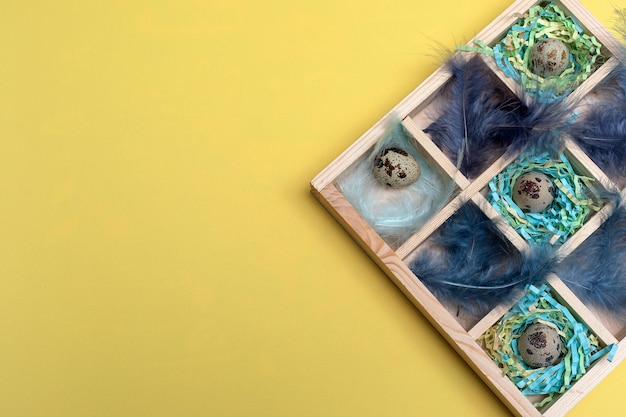 Bannière avec la boîte d'oeufs de caille naturels sur les nids et les plumes flatlay