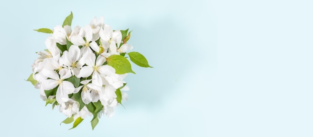 Bannière avec bouquet de brindilles de pommier blanc en fleurs sur bleu clair