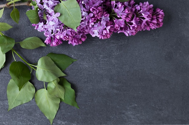 Bannière avec bouquet de fleurs lilas sur fond sombre Modèle d'en-tête créatif avec place pour t