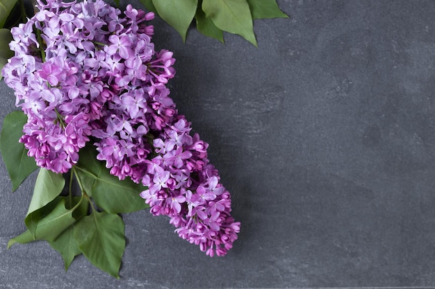 Bannière avec bouquet de fleurs lilas sur fond sombre Modèle d'en-tête créatif avec place pour t