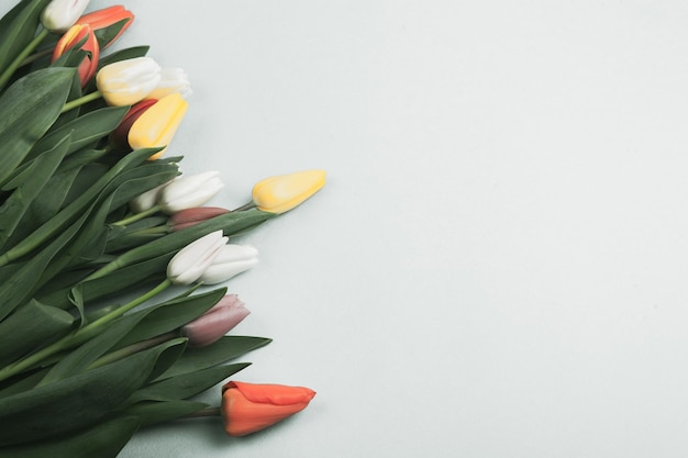 Bannière avec bouquet de tulipes aux couleurs roses et blanches