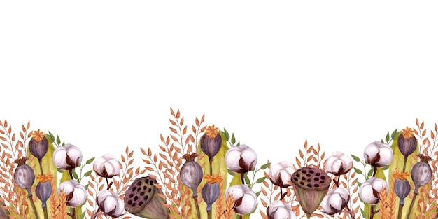 Bannière avec des brins de lotus de pavot de coton Illustration aquarelle dessinée à la main isolée
