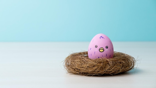 Bannière conceptuelle de douche de bébé poulet oeuf couleur