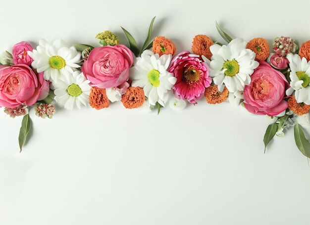 Photo bannière avec des fleurs composition de fleurs colorées chrysanthème arrière-plan isolé