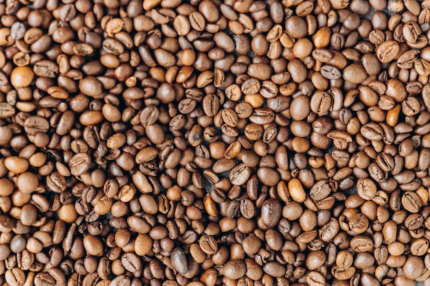 Bannière de grains de café frais avec un fond sombre