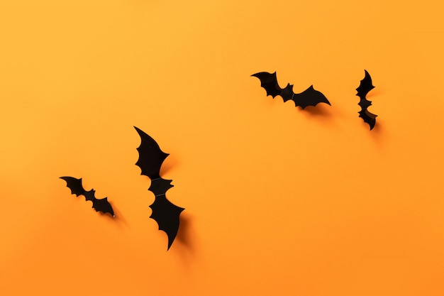 Bannière d&#39;Halloween avec des chauves-souris noires sur une surface orange, vue de dessus.