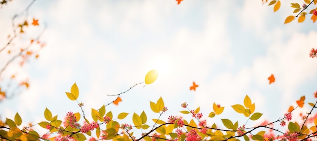 Bannière panoramique avec des feuilles d'oranger d'automne contre un ciel flou AI générative