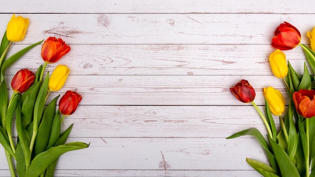 Bannière avec des tulipes rouges et jaunes sur un fond en bois clair avec une place pour le texte au milieu