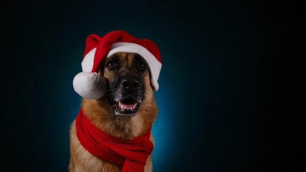 Bannière Web avec espace de copie Concept d'animal de compagnie célébrant Noël en tant que personnes