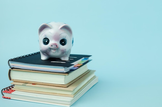 Banque d'épargne de cochons sur des livres sur fond bleu pour économiser de l'argent et l'éducation concept financier