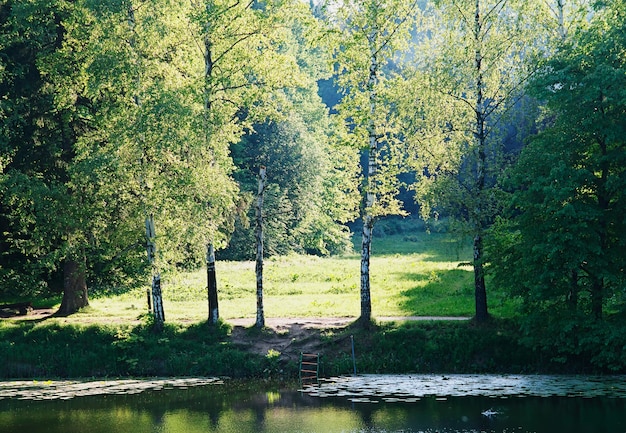 Banque de fond de paysage d'étang de parc