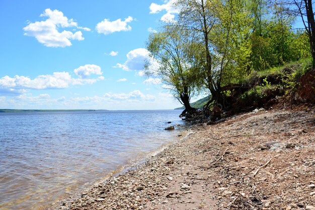 Banque de la Volga avec des arbres verts et ciel nuageux sur fond