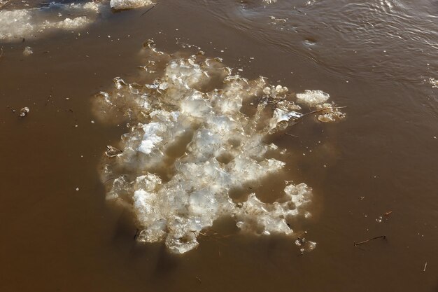 Banquise flottant dans l'eau crue printanière