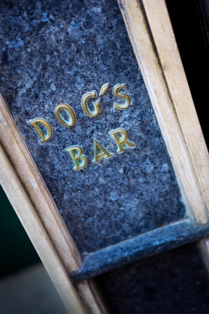 Bar à chiens en ville