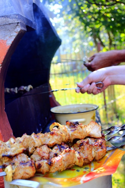 Barbecue appétissant avec de belles pièces de viande sur le feu