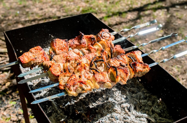 Barbecue de cuisine dans la nature. Camping et pique-nique.