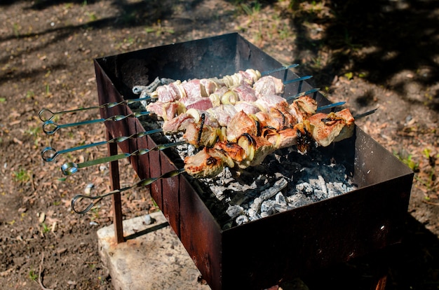 Barbecue de cuisine dans la nature.