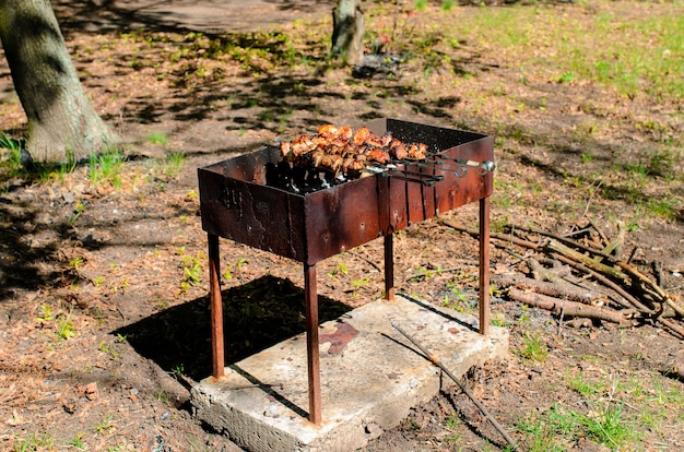 Barbecue de cuisine dans la nature.