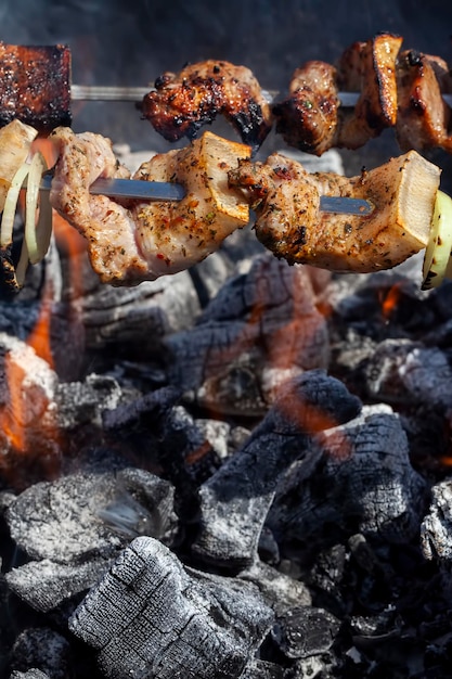 Barbecue avec cuisson de la viande sur le feu