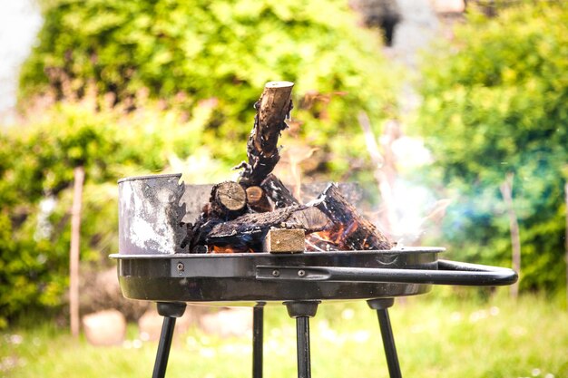 Barbecue dans le jardin