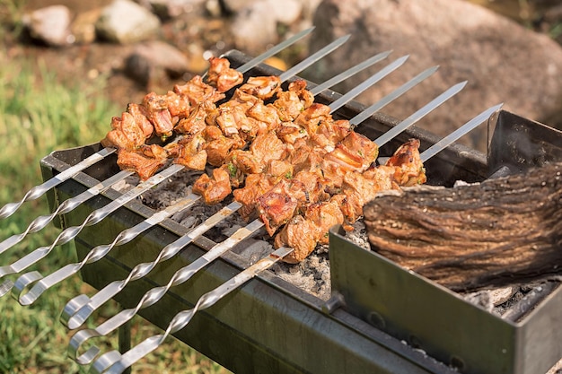 Barbecue sur le gril Viande marinée sur brochettes shish kebab steaks de boeuf sur le gril pendant l'été