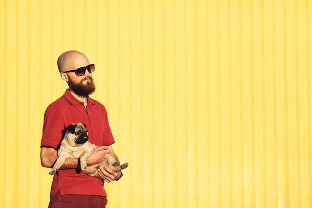 Un barbu à lunettes de soleil tient un chiot carlin dans ses bras sur fond de mur jaune Style de vie Concept Espace de copie