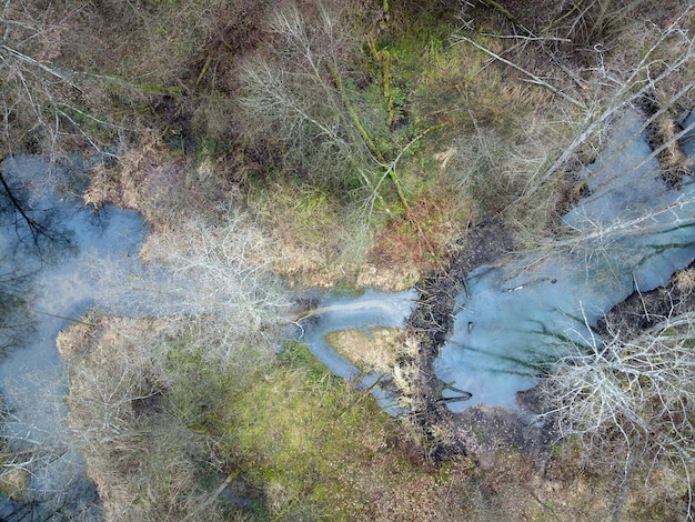 Barrage de castor sur la rivière de la forêt au début du printemps vue aérienne Courbes d'arbres de ruisseau Paysage aérien