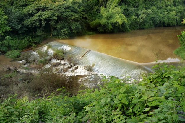 Barrage d&#39;irrigation - Petit fossé avec un barrage