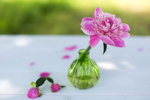 Bas frais rose dans un vase