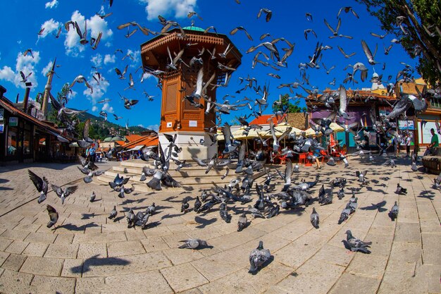 Photo bascarsija est le vieux bazar de sarajevo et le centre historique