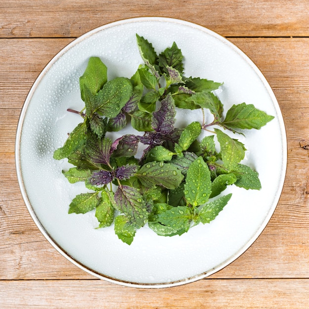 basilic frais cru laisse salade italienne avec des gouttes d'eau sur plaque grise sur table en bois