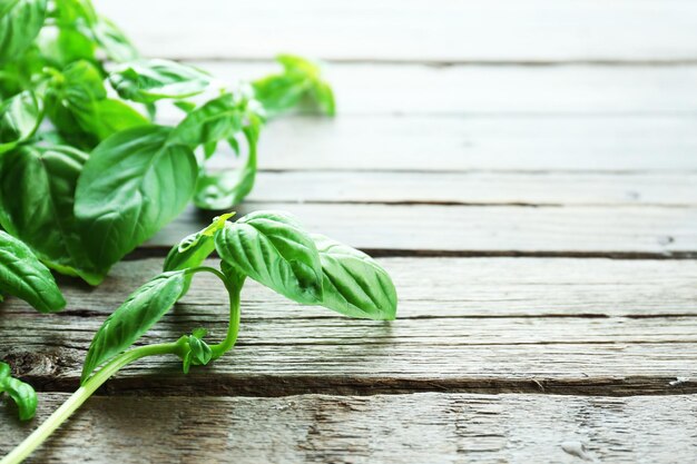 Basilic frais vert sur fond de bois