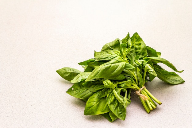 Basilic vert aux herbes biologiques fraîches