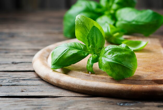 Basilic vert frais sur la table en bois