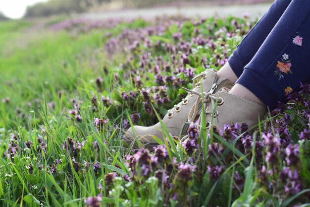 Photo basse section de la femme sur les plantes à fleurs violettes sur le champ