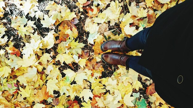 Photo basse section d'une personne debout sur des feuilles tombées sur le champ pendant l'automne